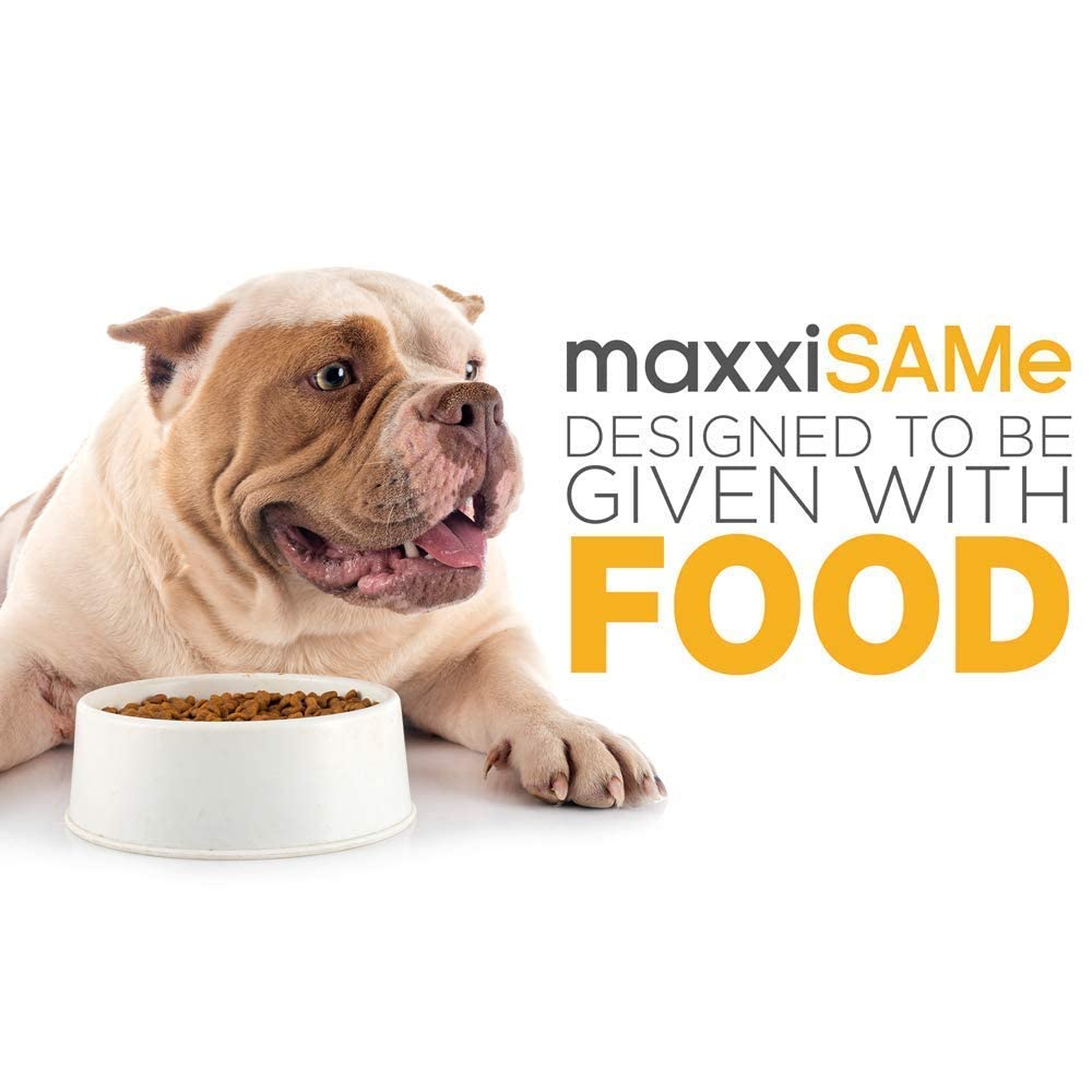 SAM-e Digestive and Immune Supplement U66768