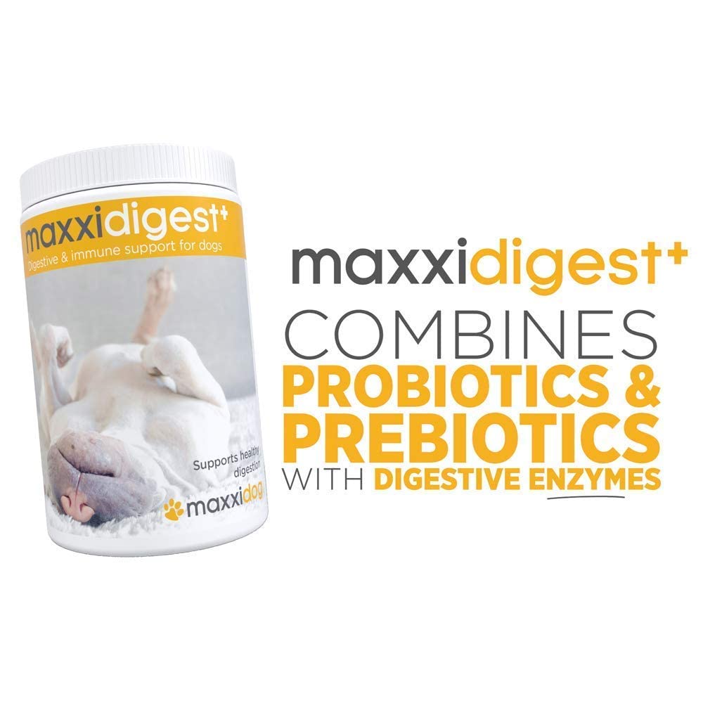 SAM-e Digestive and Immune Supplement U66768