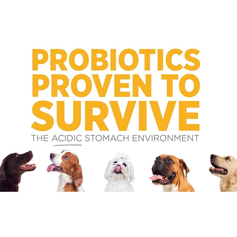 SAM-e Digestive and Immune Supplement U66768
