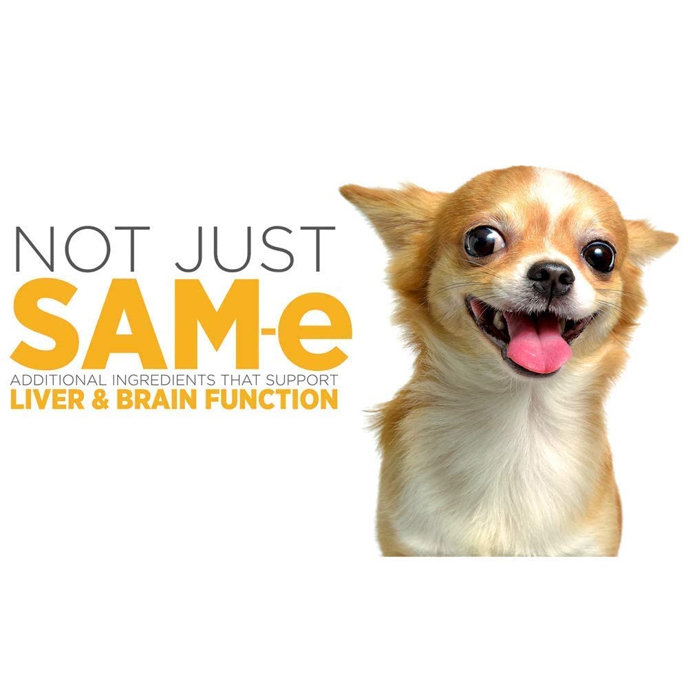 SAM-e Digestive and Immune Supplement U66768