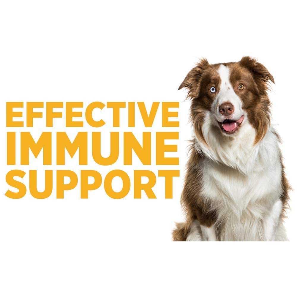 SAM-e Digestive and Immune Supplement U66768