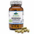 Organic Moringa Oleifera 1000mg 90 Count Vegan Supplement T2231