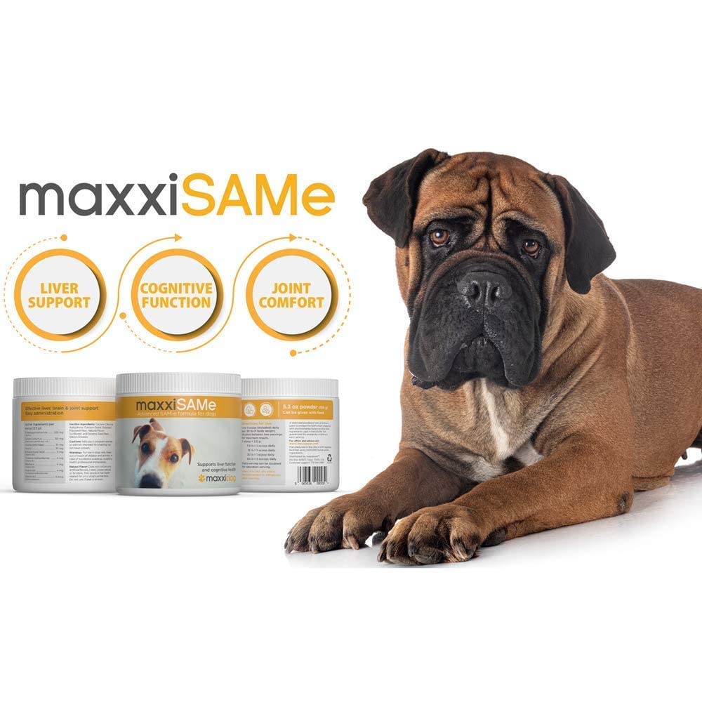 SAM-e Digestive and Immune Supplement U66768