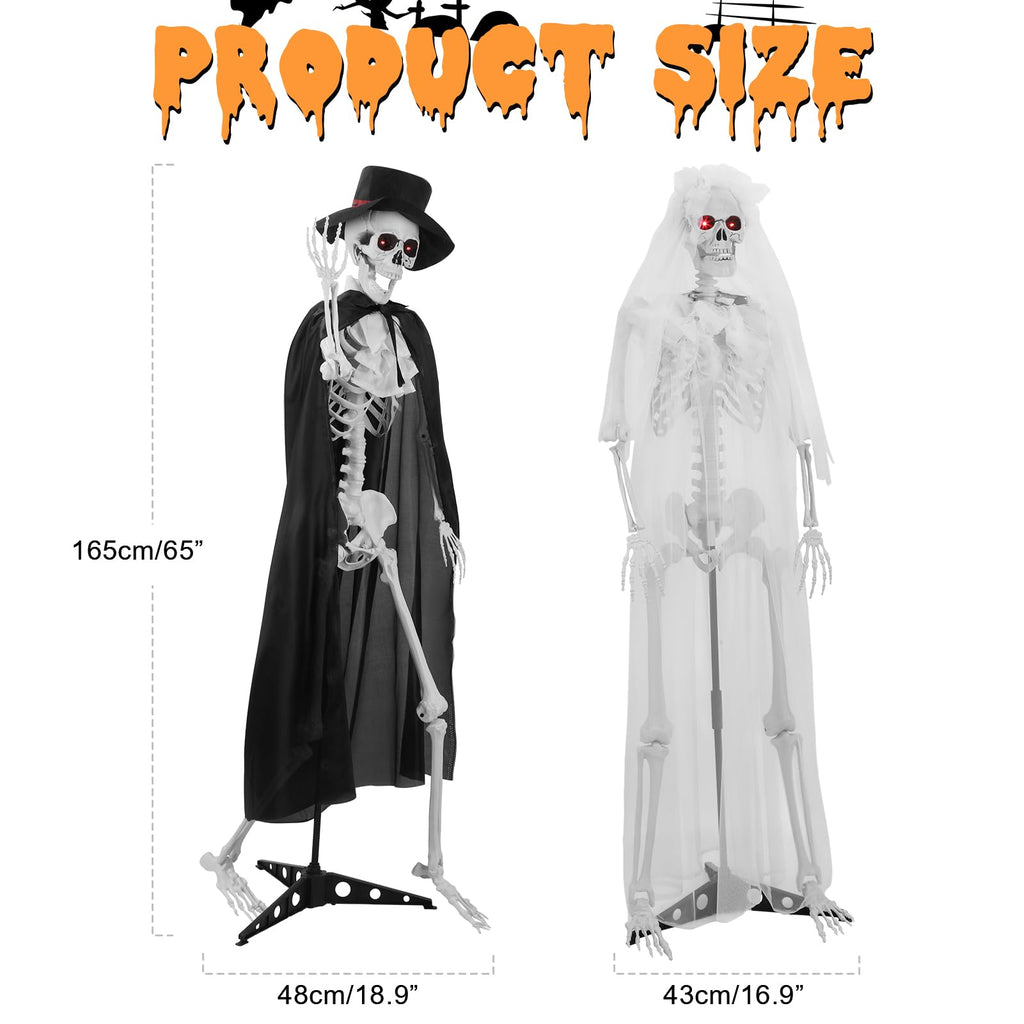Life Size Skeleton G328132