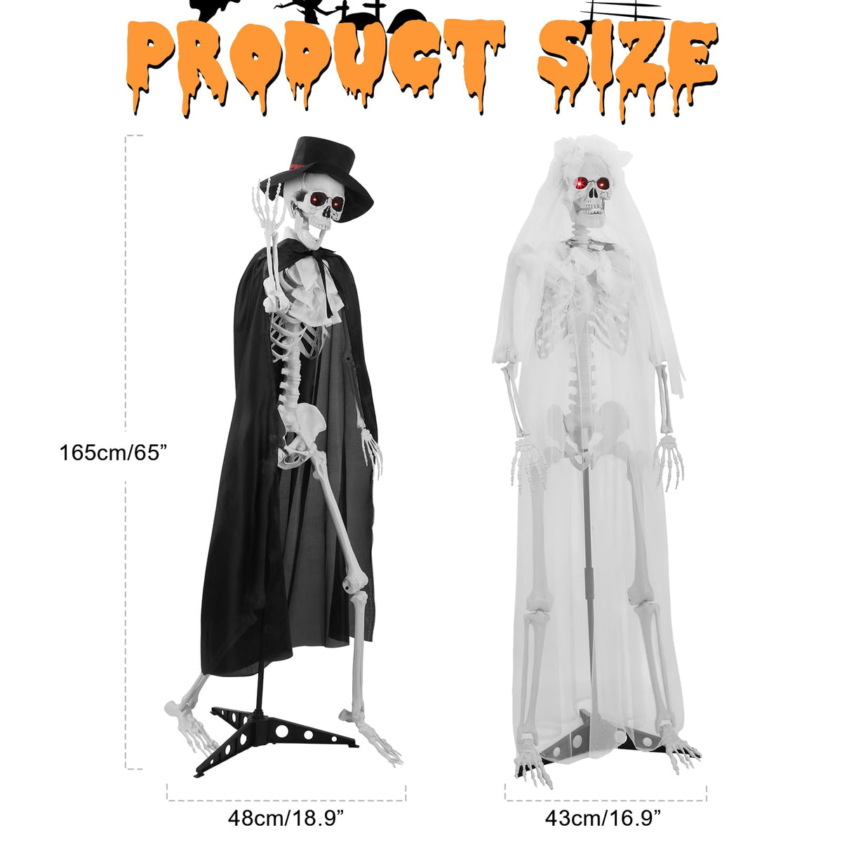 Life Size Skeleton G328132