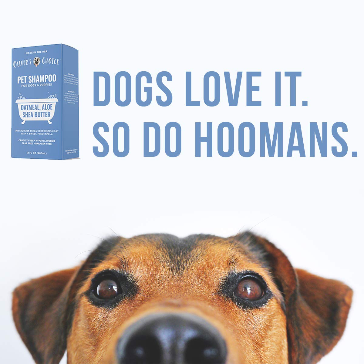 Oatmeal Aloe Shea Butter Dog Shampoo 14 fl. oz Y8953