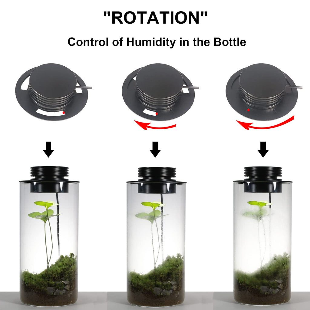 Glass Plant Terrarium with Grow Light W20749