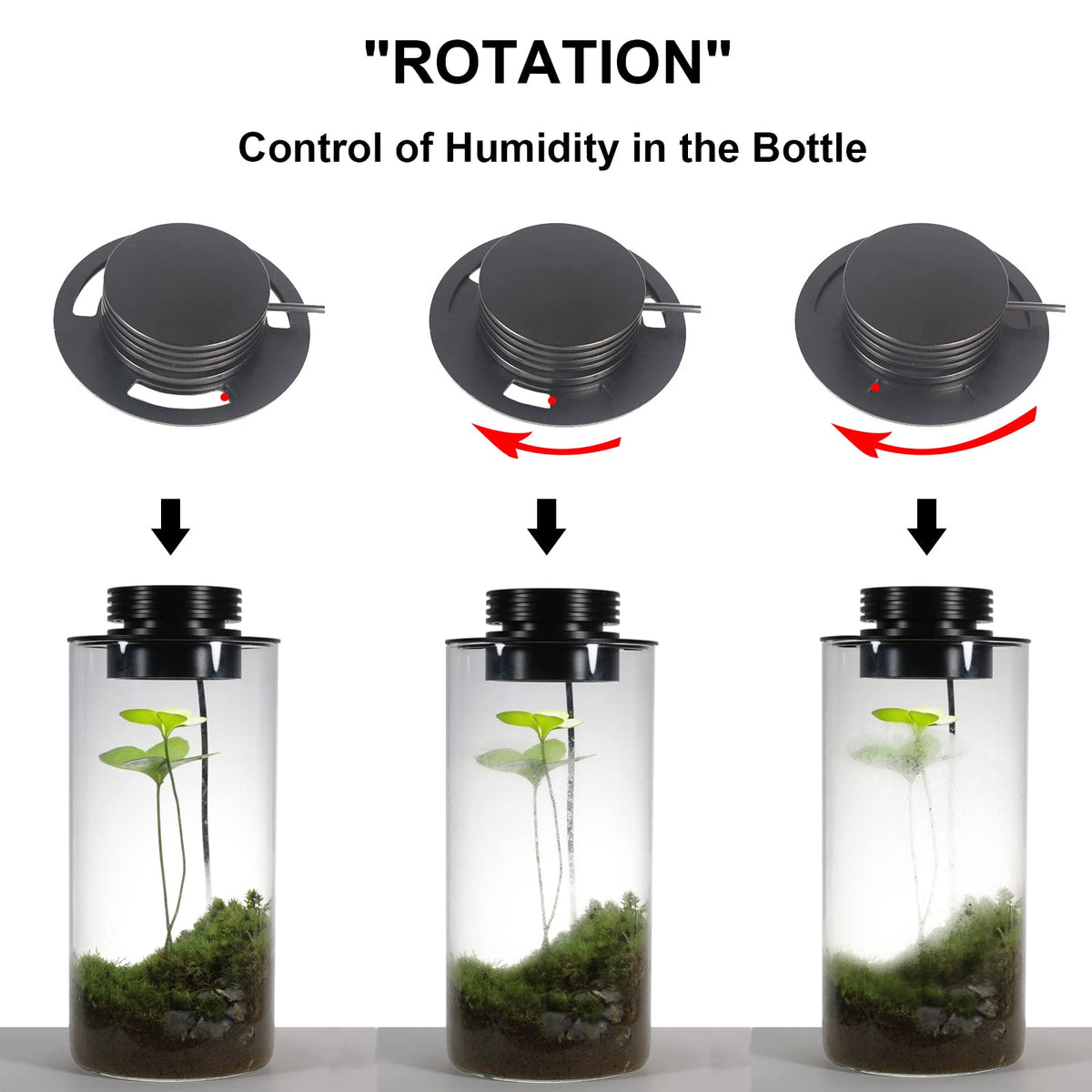 Glass Plant Terrarium with Grow Light W20749