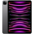 2022 iPad Pro 12.9-inch Wi-Fi + Cellular 256GB Space Gray E95561