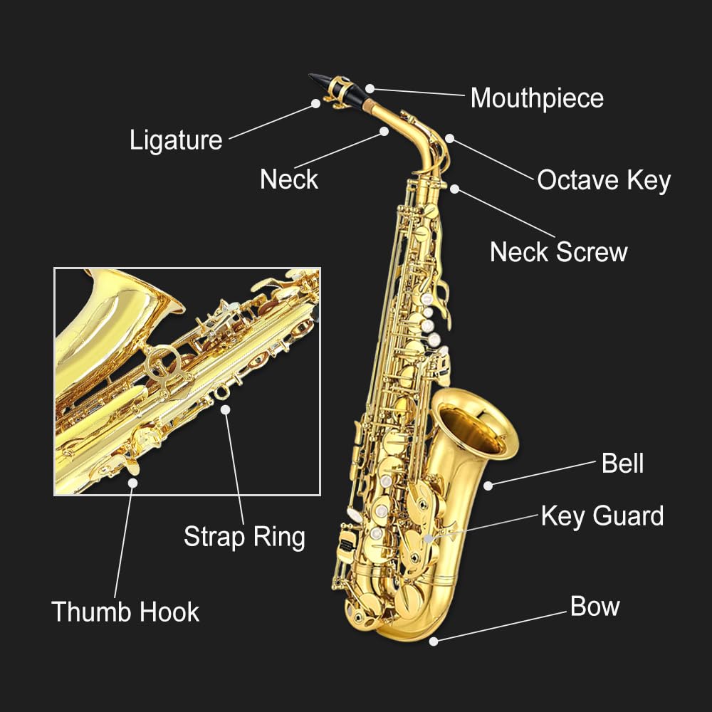 Eb Alto Saxophone Full Kit with Carrying Case N155