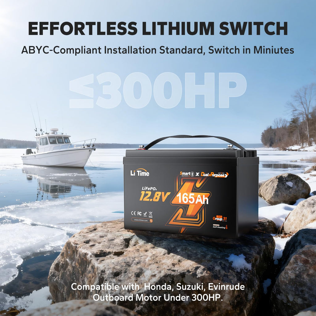 12V 165Ah Dual Purpose LiFePO4 Battery D792553