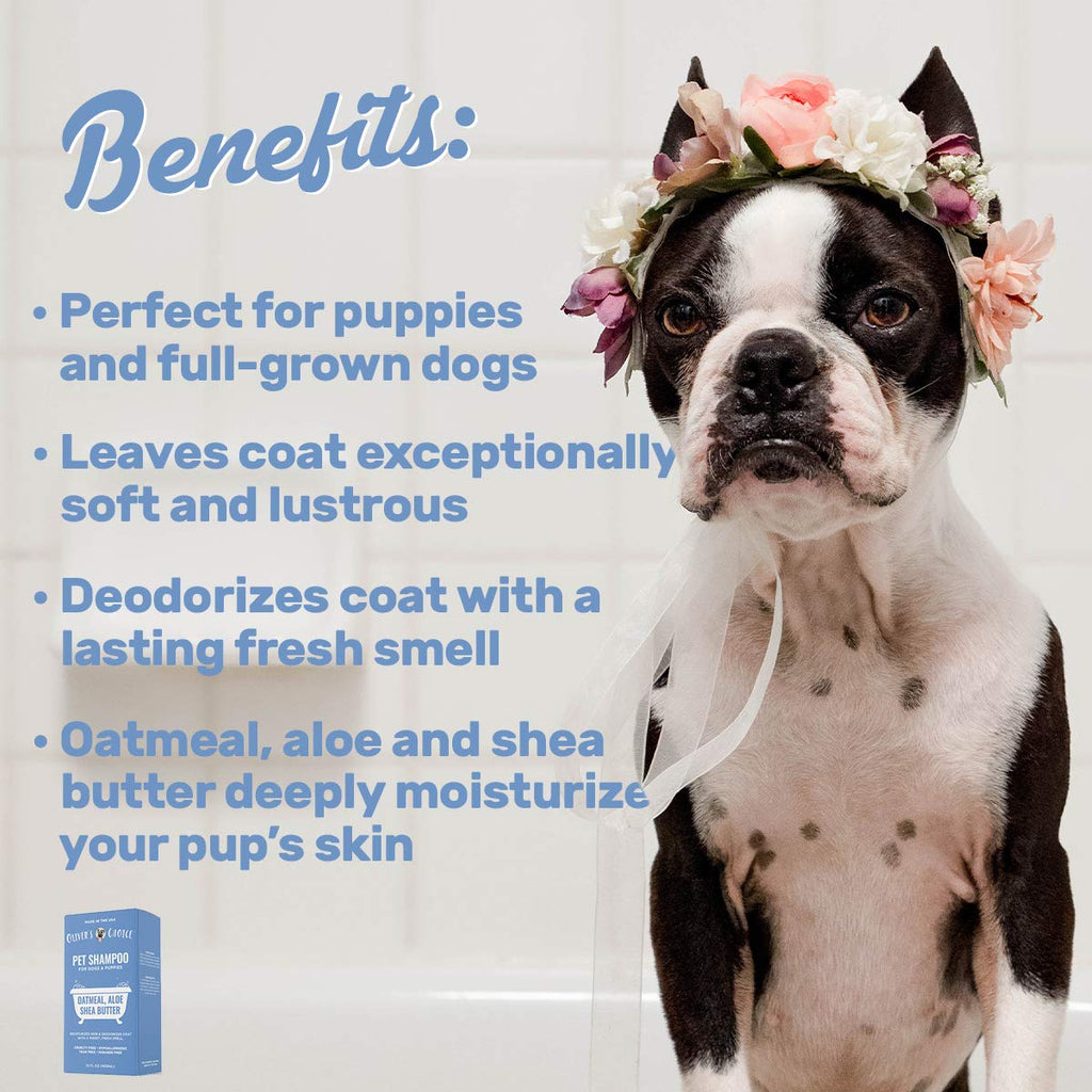 Oatmeal Aloe Shea Butter Dog Shampoo 14 fl. oz Y8953