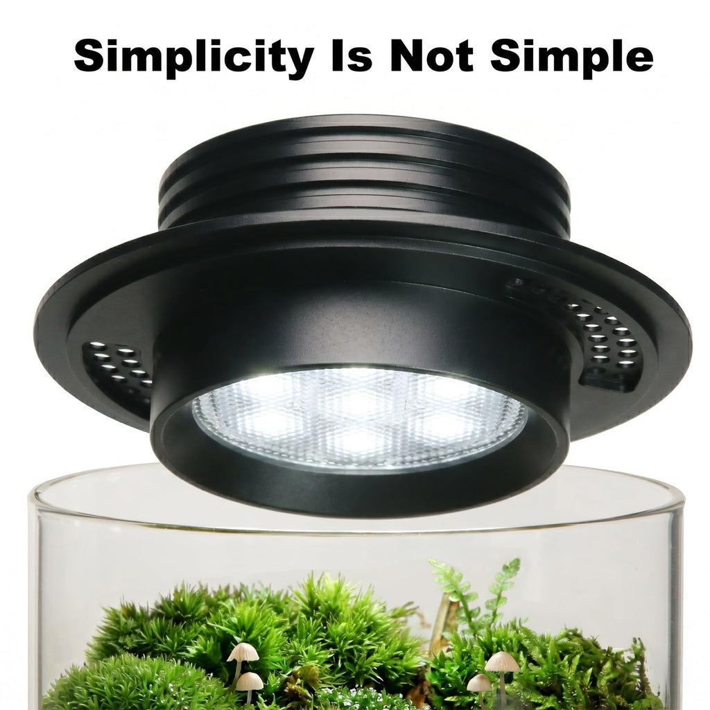Glass Plant Terrarium with Grow Light W20749