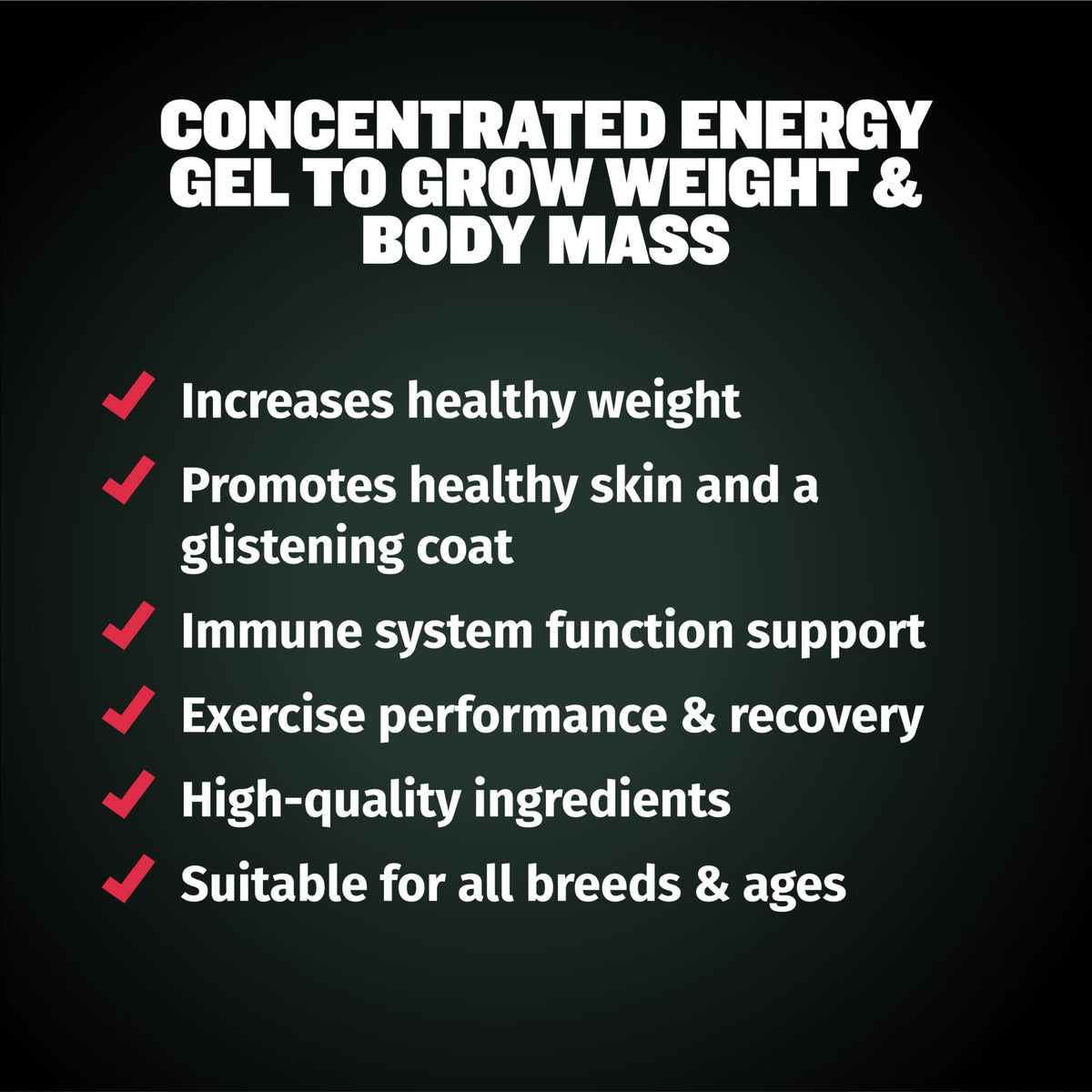 High Protein Beef Dog Food 15 lbs. Weight Gainer Supplement Bundle O6428