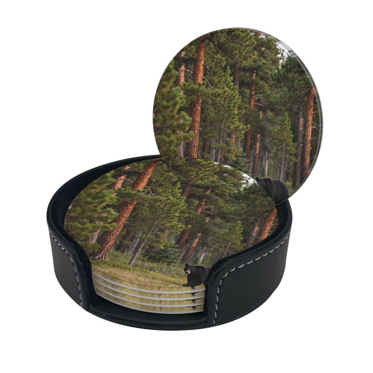 Black Bear Pattern Leather Coasters Set of 6 N14161