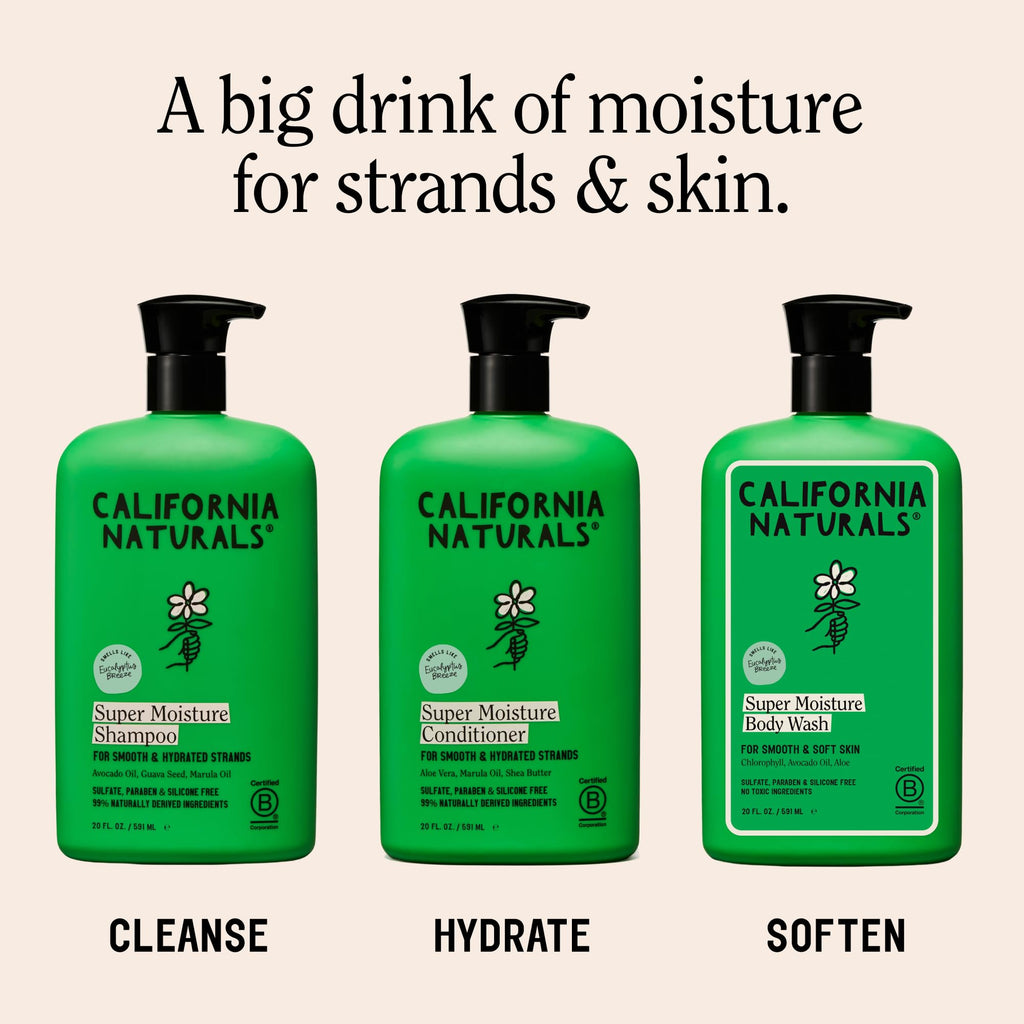 Eucalyptus Breeze Moisture Shampoo and Conditioner Set 20 fl oz W8614
