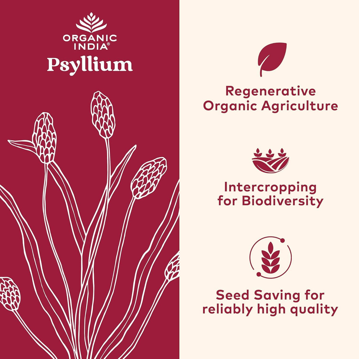 Whole Psyllium Husk Powder Organic Vegan 12 oz Z177590