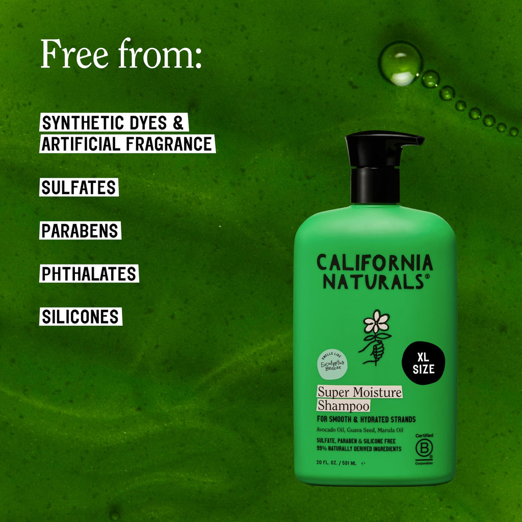 Eucalyptus Breeze Moisture Shampoo and Conditioner Set 20 fl oz W8614