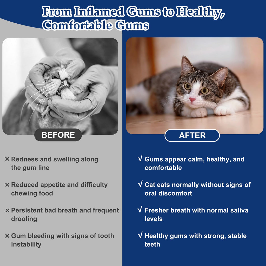 Natural Plant-Based Cat Oral Care L954