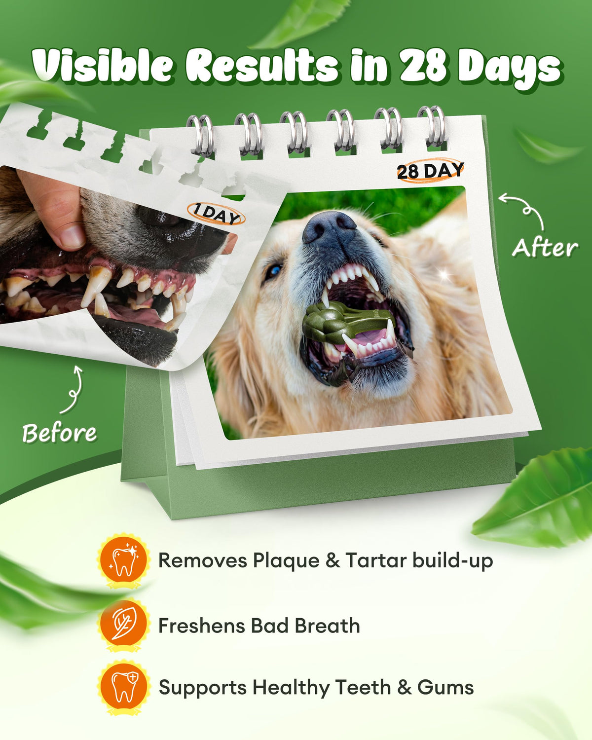 Dog Dental Chews 12oz 10 Count T28794