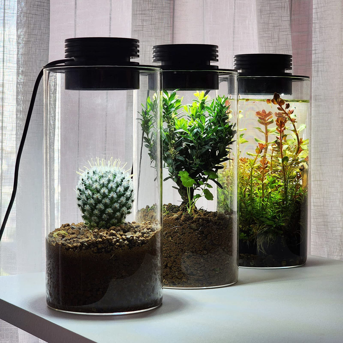 Glass Plant Terrarium with Grow Light W20749