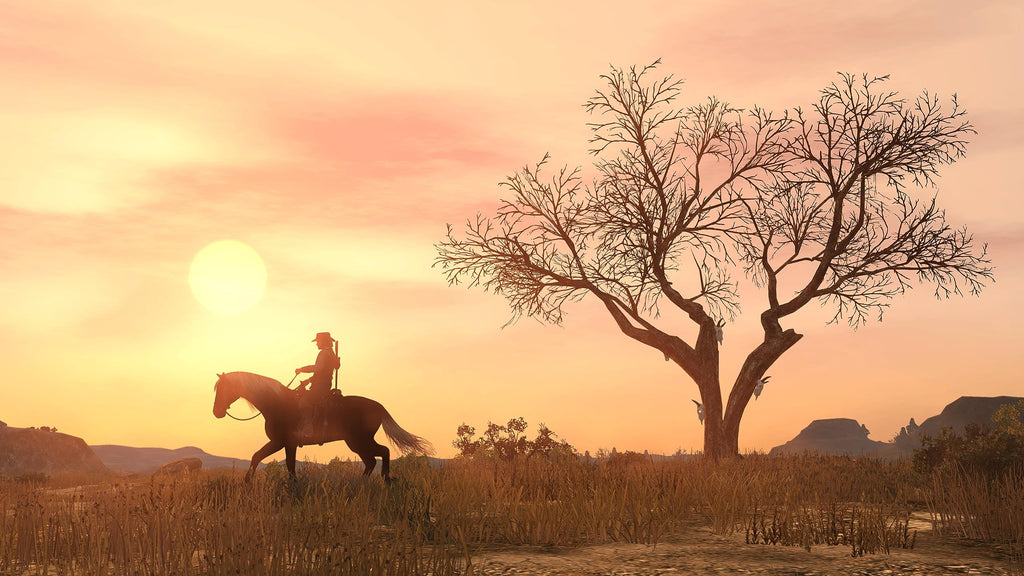 Red Dead Redemption PlayStation 4 Y70440