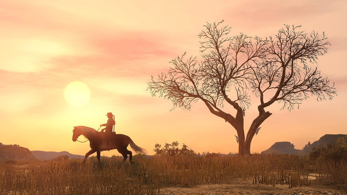 Red Dead Redemption PlayStation 4 Y70440