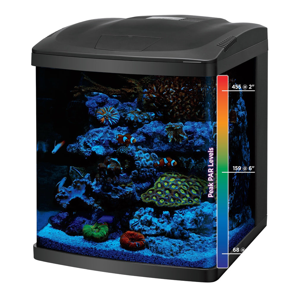 16 Gallon Aquarium Starter Kit E904647