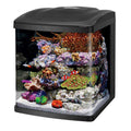 16 Gallon Aquarium Starter Kit E904647