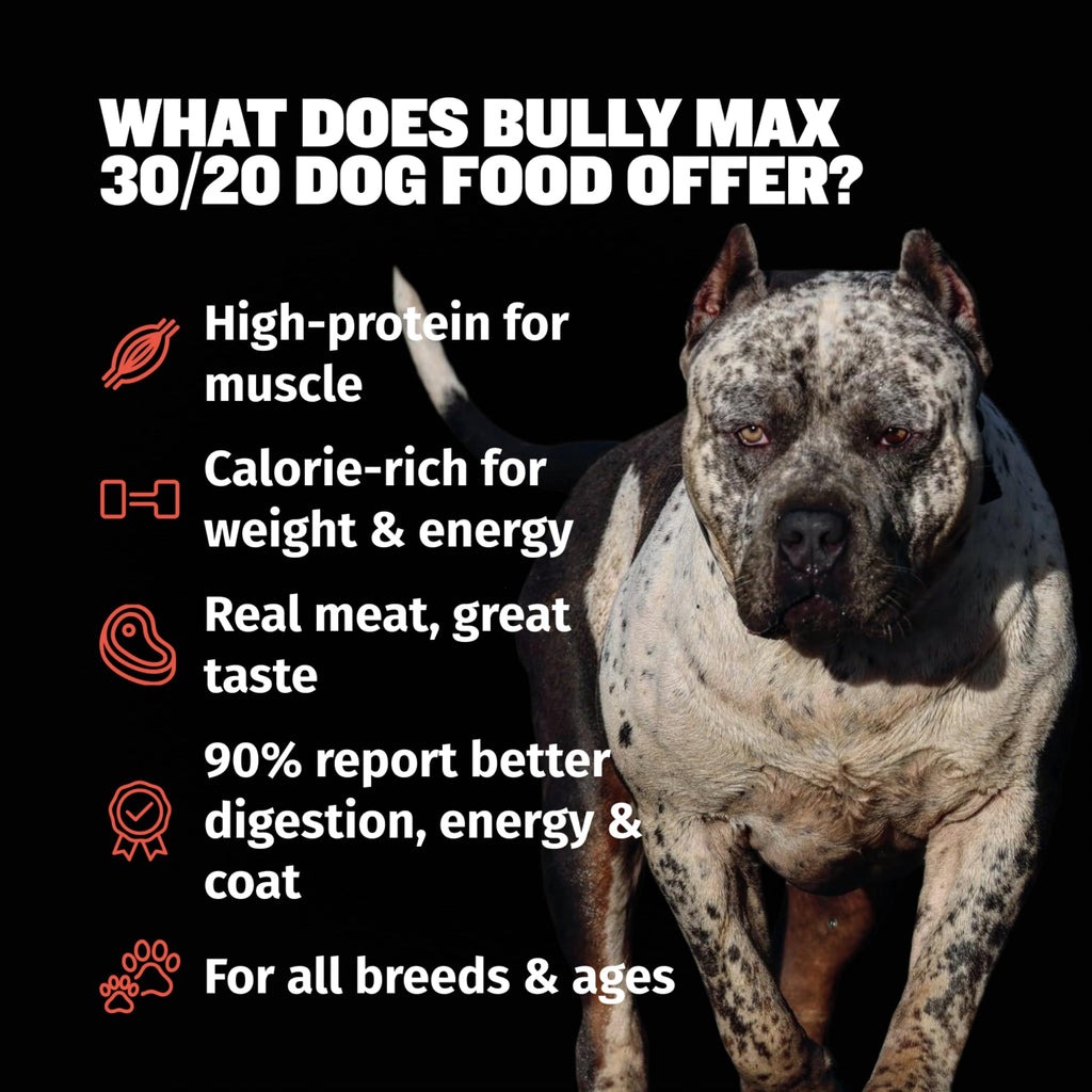 High Protein Beef Dog Food 15 lbs. Weight Gainer Supplement Bundle O6428