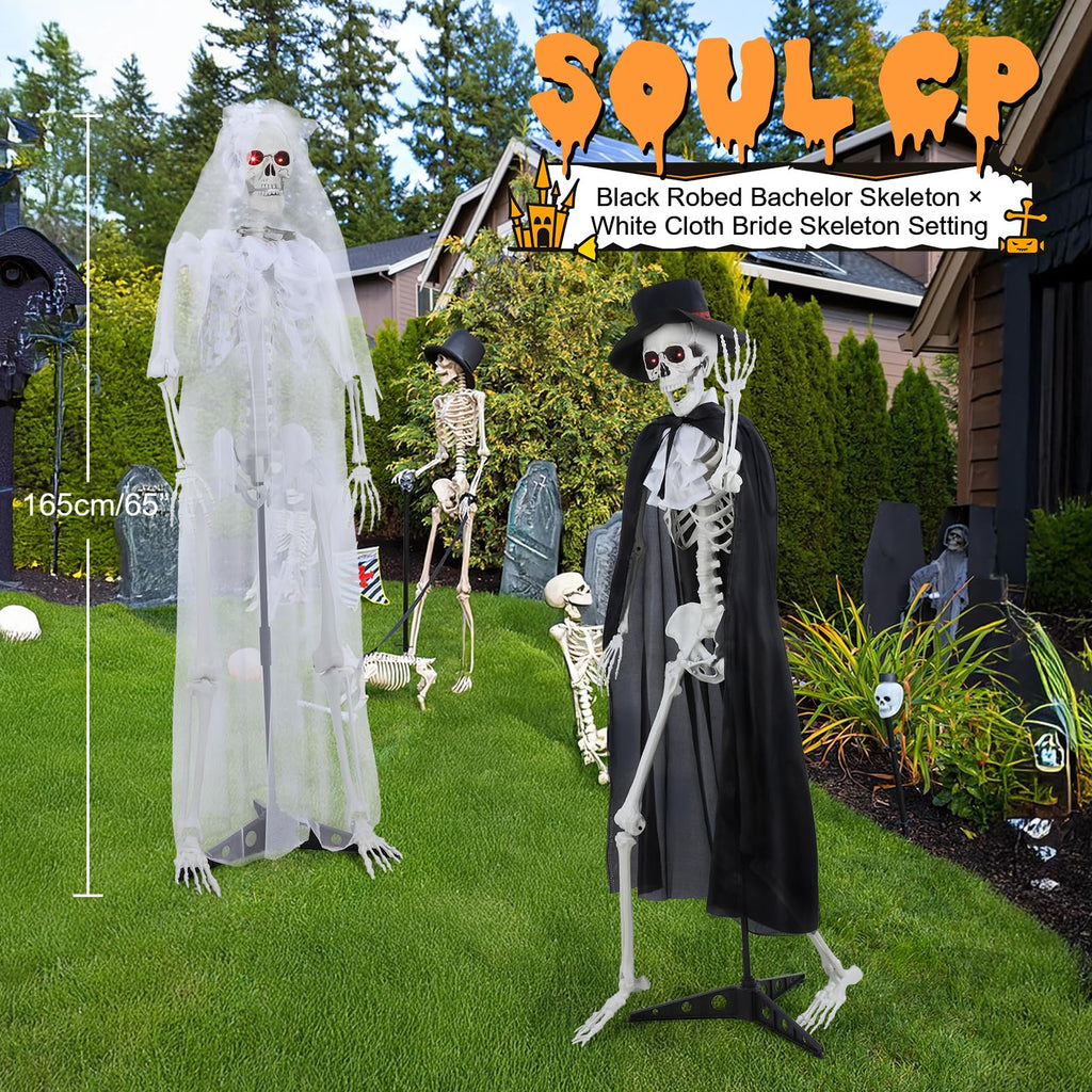 Life Size Skeleton G328132