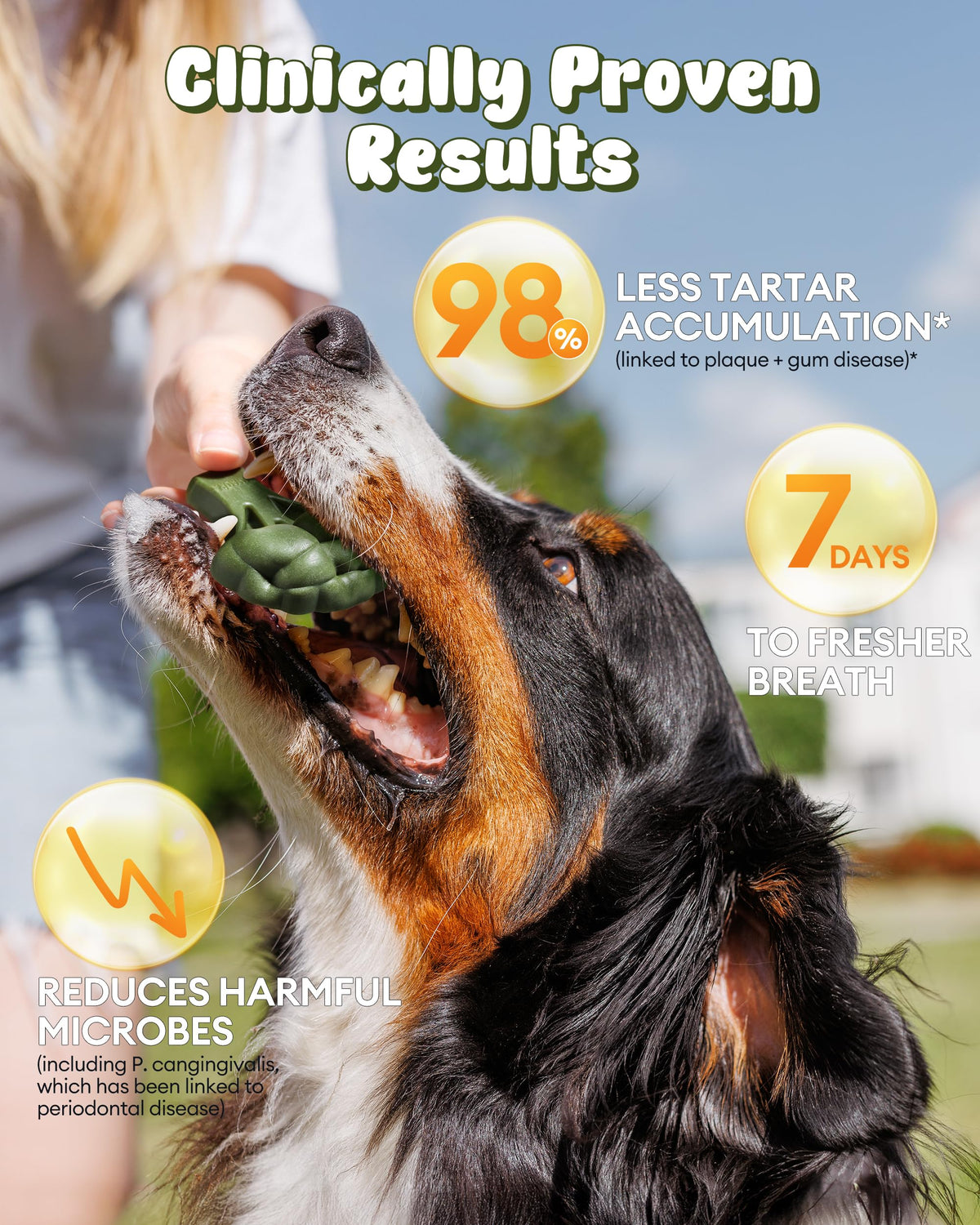 Dog Dental Chews 12oz 10 Count T28794